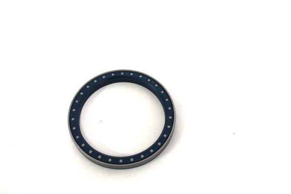 Internal Oil Seal