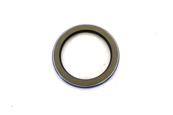 Internal Oil Seal